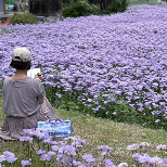 森花畫具袋（單售） 